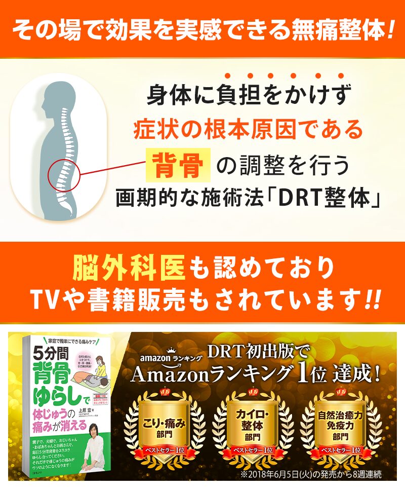 DRT整体